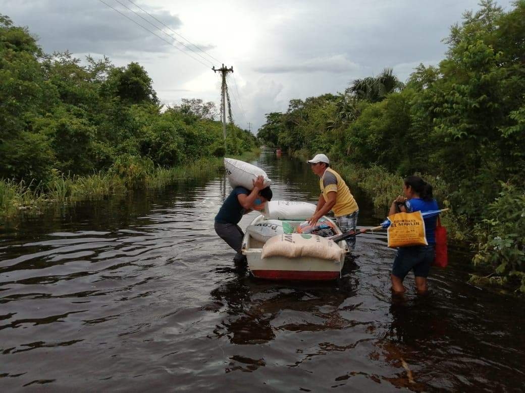 Reciben alimentos para animales en Felipe Carrillo Puerto Reciben alimentos para animales en Felipe Carrillo Puerto