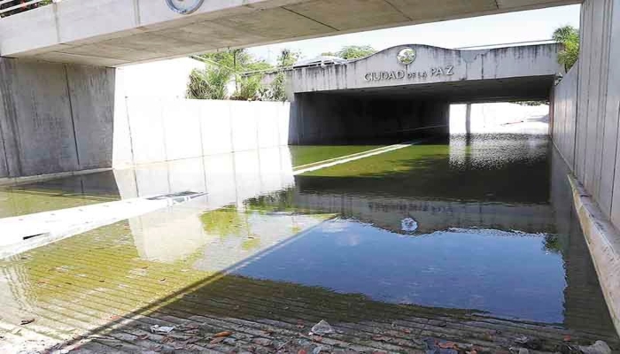 Foto: Martín Zetina