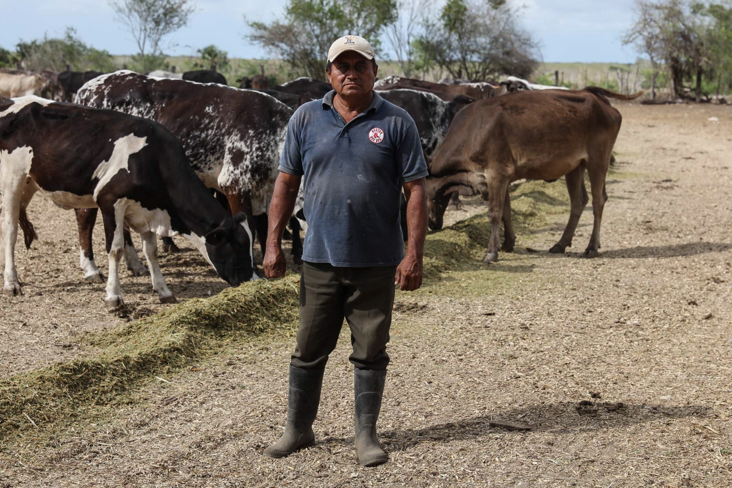 Ganaderos del oriente enfrentan situación crítica por la pandemia