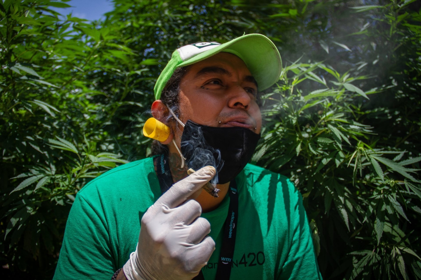 Activistas del Movimiento Cannábico Mexicano exigen legalización de la planta (Cuartoscuro) Activistas del Movimiento Cannábico Mexicano exigen legalización de la planta (Cuartoscuro)