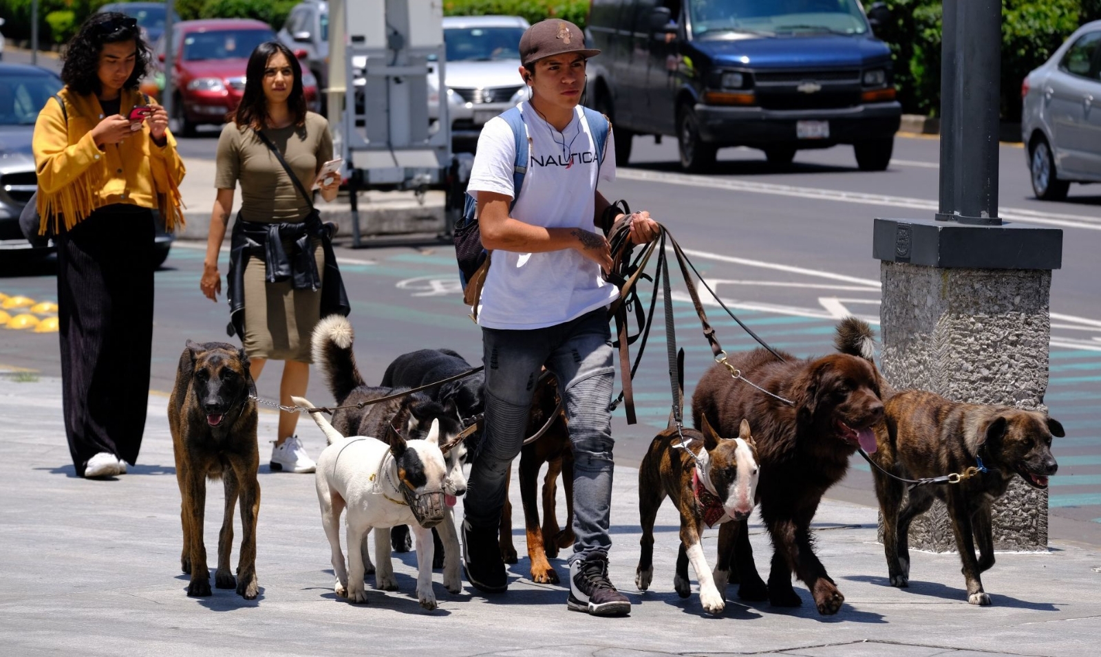 Celebramos el Día del Perro con estos famosos amigos del hombre