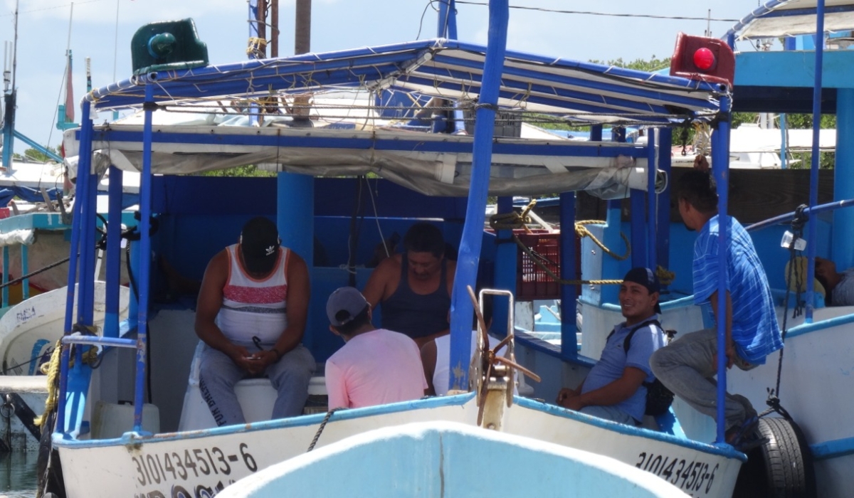 Futuro incierto ante la temporada de pulpo en Yucatán: empresarios y pescadores