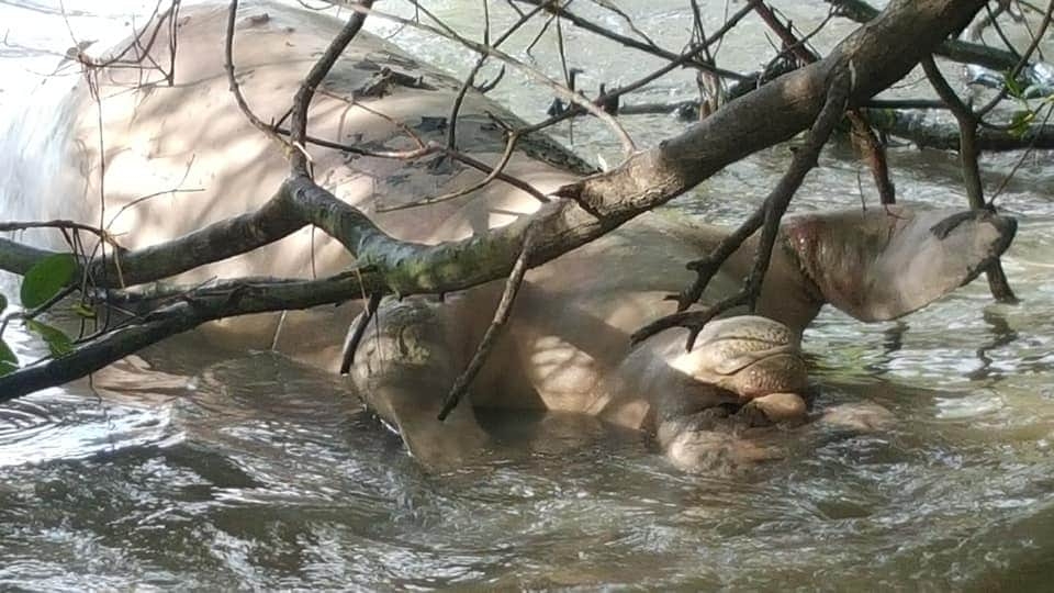 FOTO: Abraham Cohuó