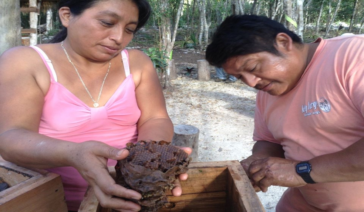 Foto: Miguel Améndola