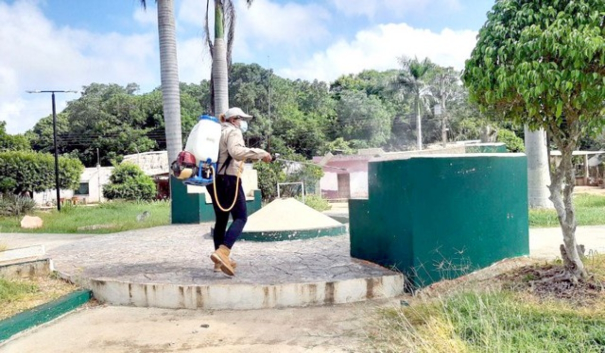 Foto: José Manrique Euán Martín