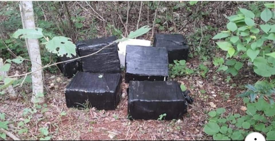 Aseguran más droga relacionada a la avioneta aterrizada en Quintana Roo Aseguran más droga relacionada a la avioneta aterrizada en Quintana Roo
