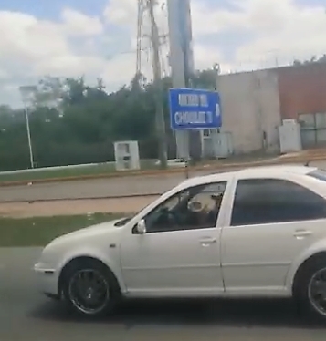 El conductor le cerró el paso a la ambulancia El conductor le cerró el paso a la ambulancia