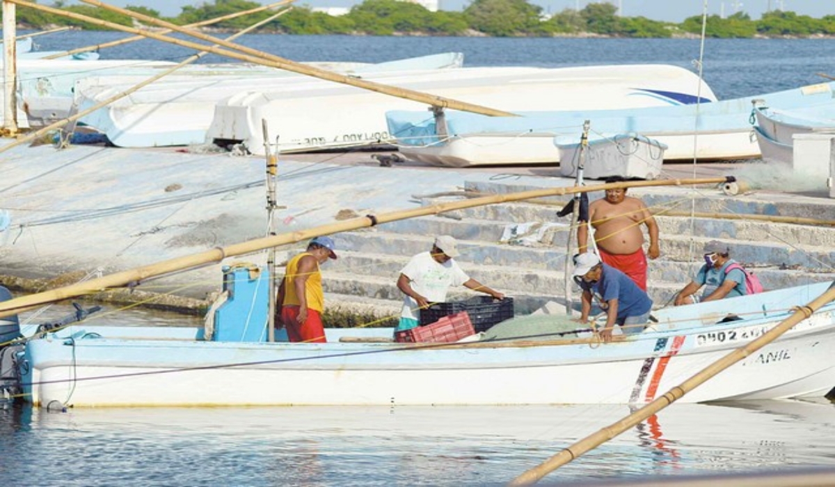 Foto: David Vázquez