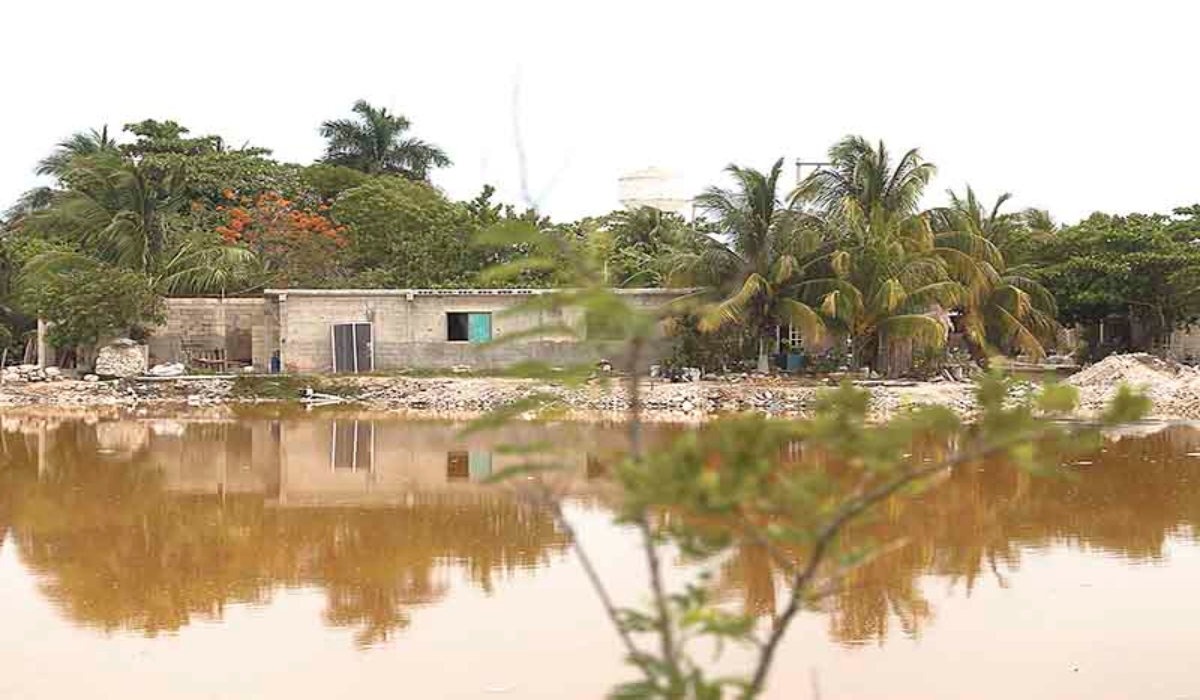 Foto: Enrique Osorno Foto: Enrique Osorno