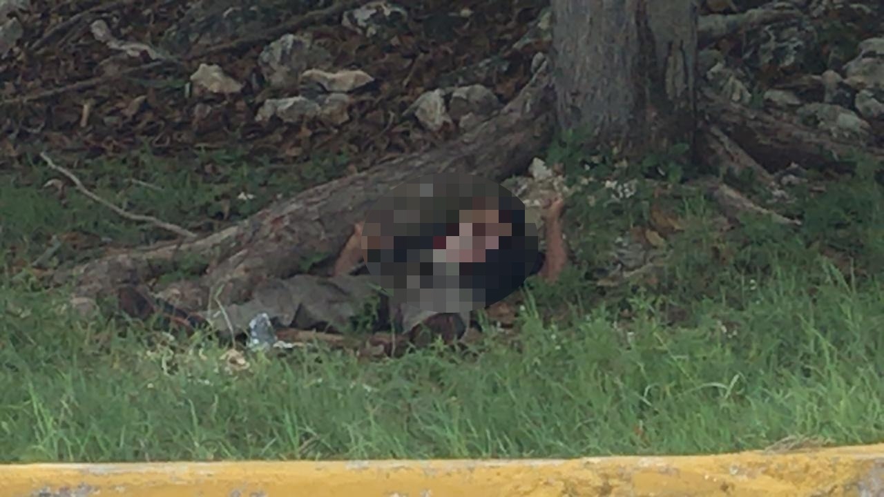 Foto: Rafael García