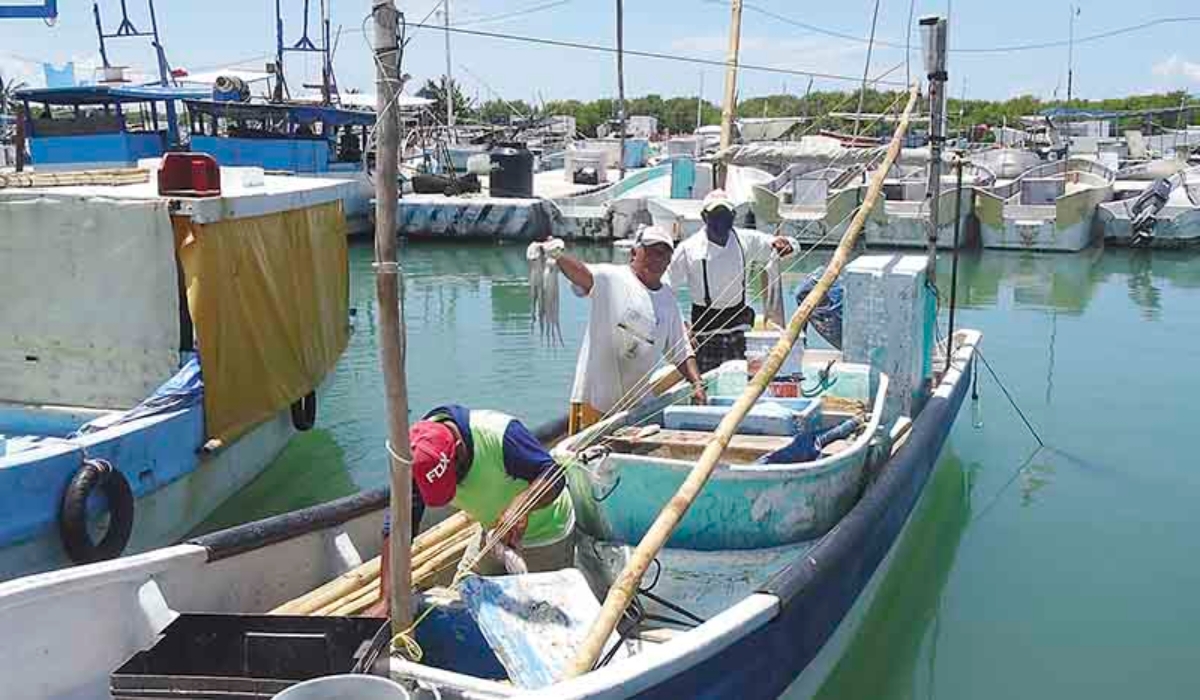 Foto: Julio Jiménez