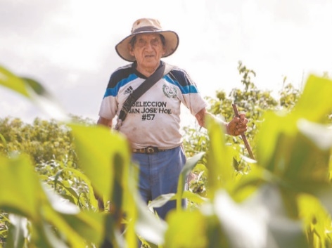 Campesinos de Chumayel a la espera de las lluvias para sembrar