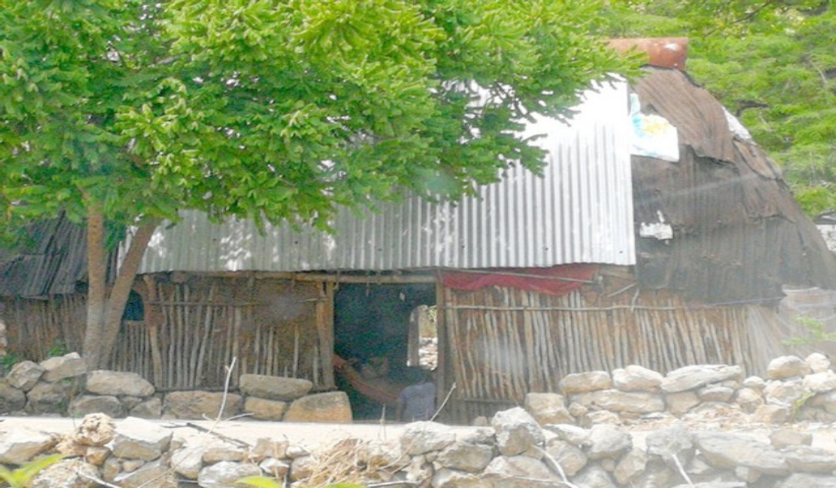 Foto: Jorge Aké