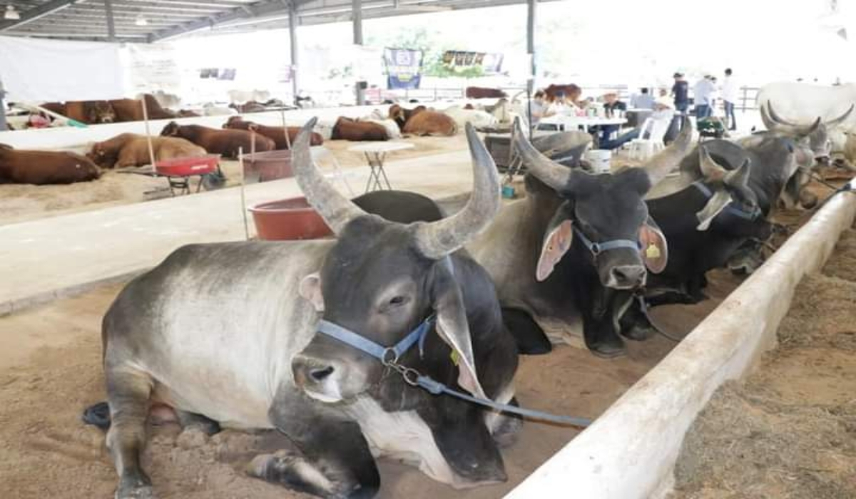 Foto: Secretaría de Desarrollo Rural en Facebook