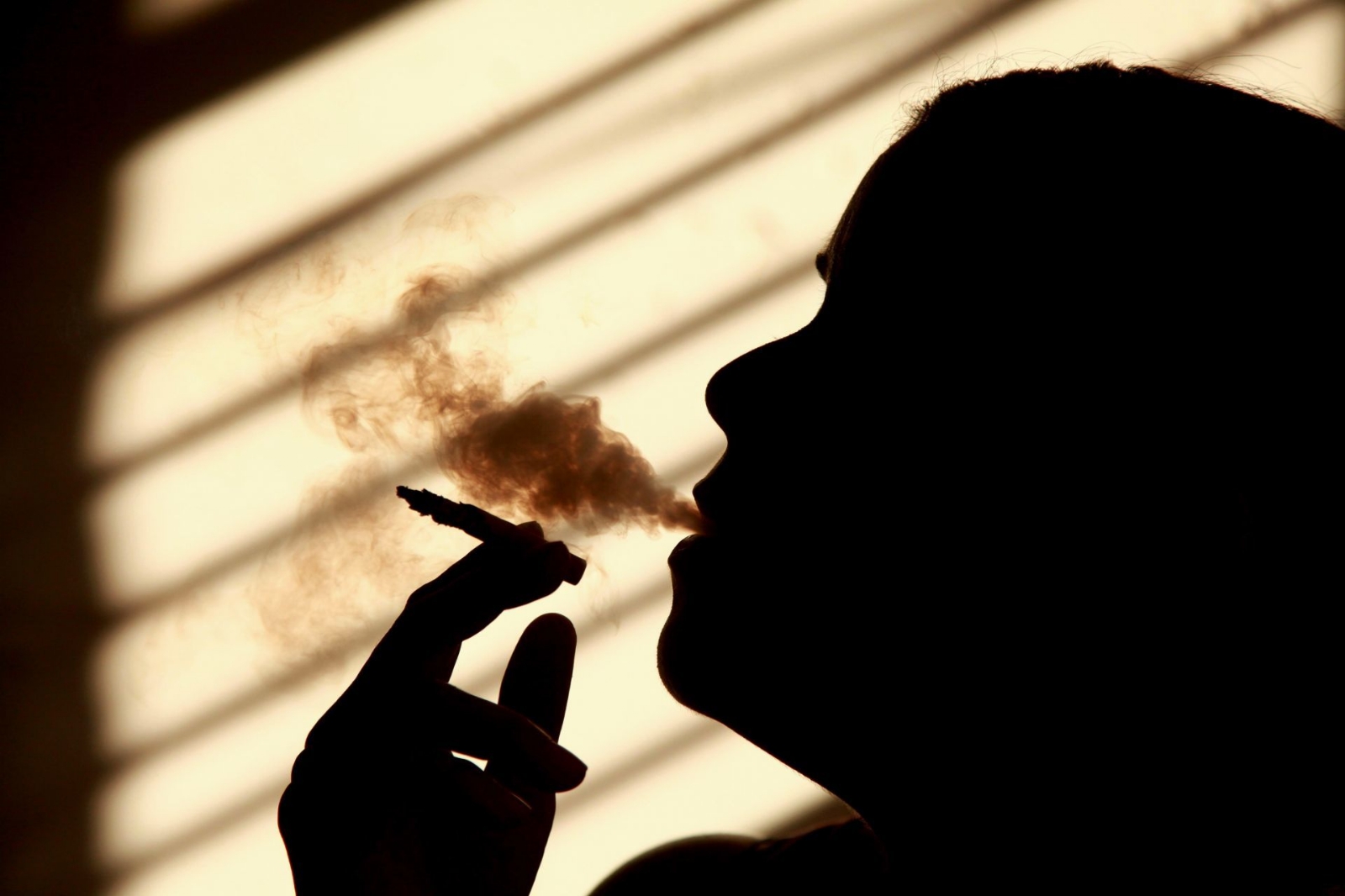 El 90% de la población apoya la implementación de espacios 100% libres de humo de tabaco