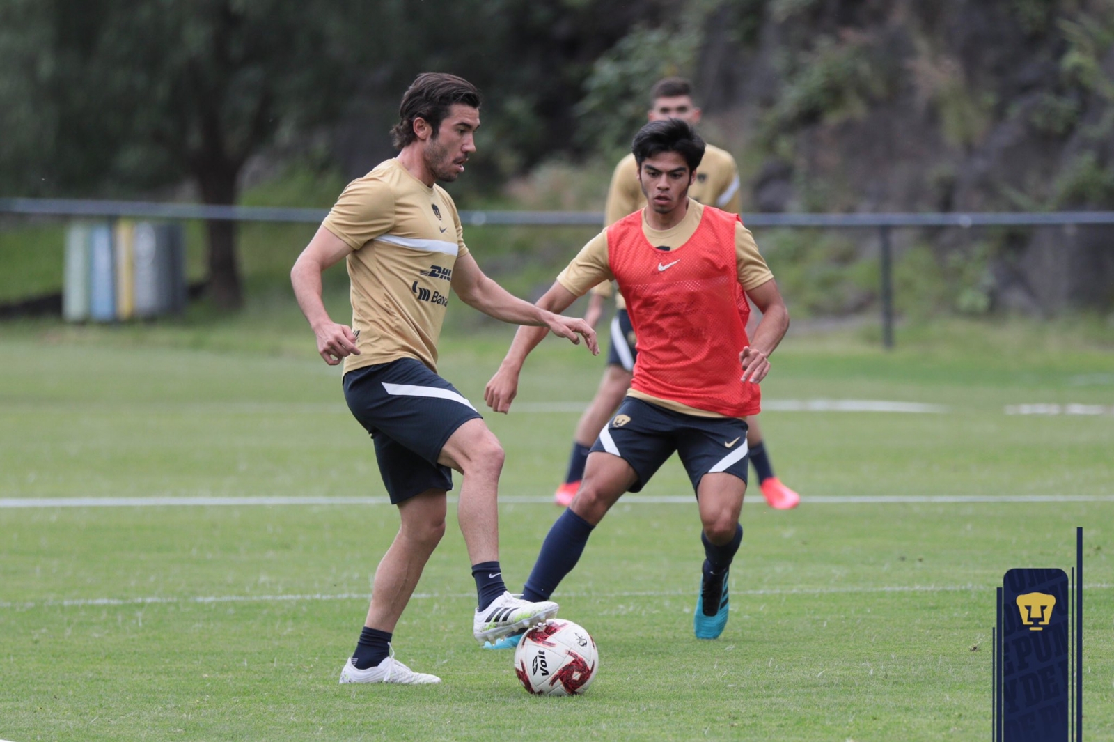 Foto: Twitter @PumasMX