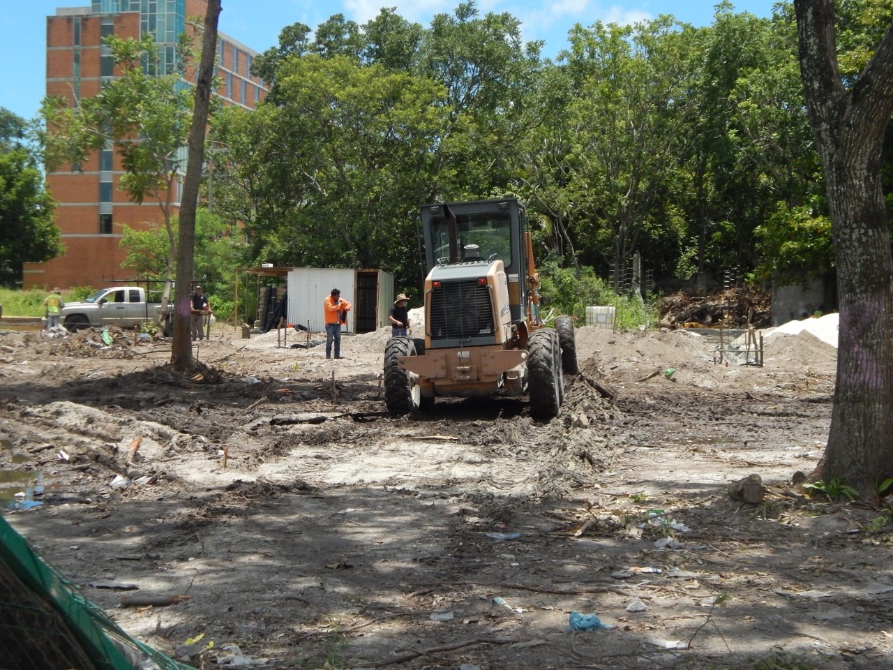 Península de Yucatán, zona más deforestada en México: Conafor