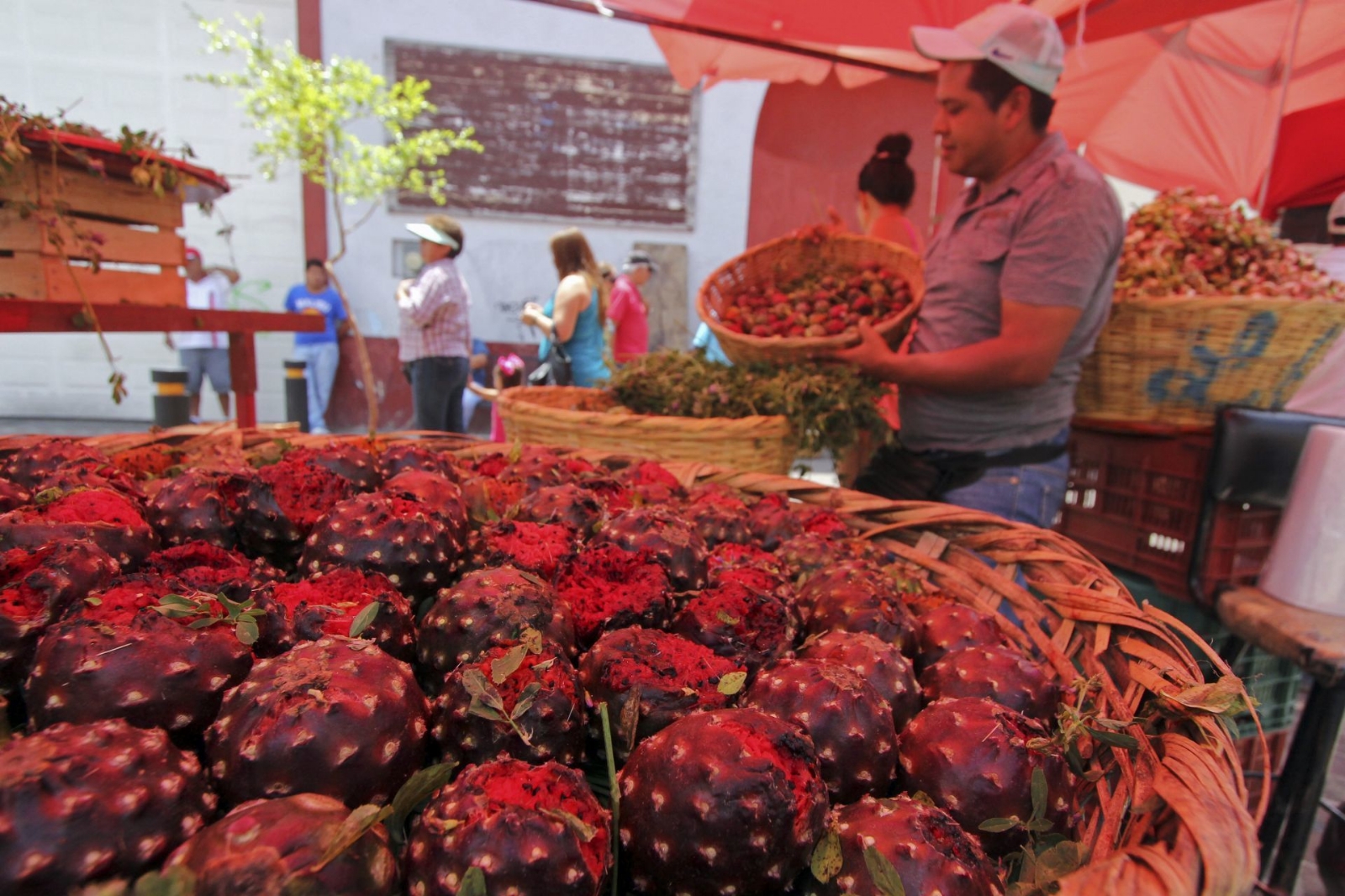Los beneficios de comer Pitaya, la fruta del dragón