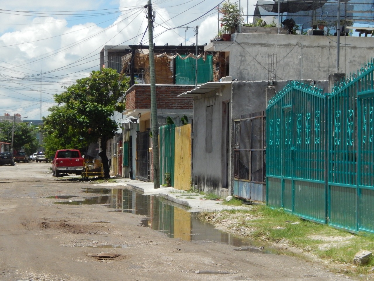 Foto: Iene Barradas Foto: Iene Barradas
