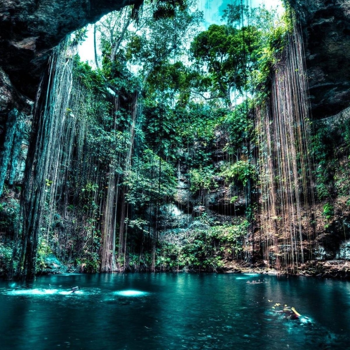 Tres cenotes de la península de Yucatán que tienes que conocer en su reapertura