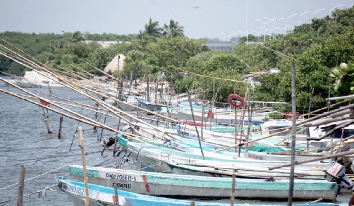 Foto: Jorge Aké
