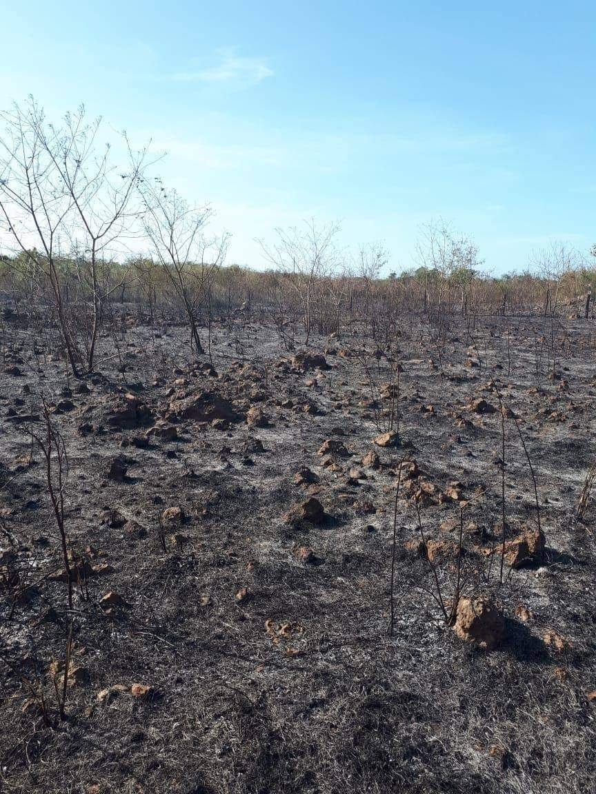 Autoridades exhortan a no quemar basura ni tirar basura en los tramos carreteros de Yucatán