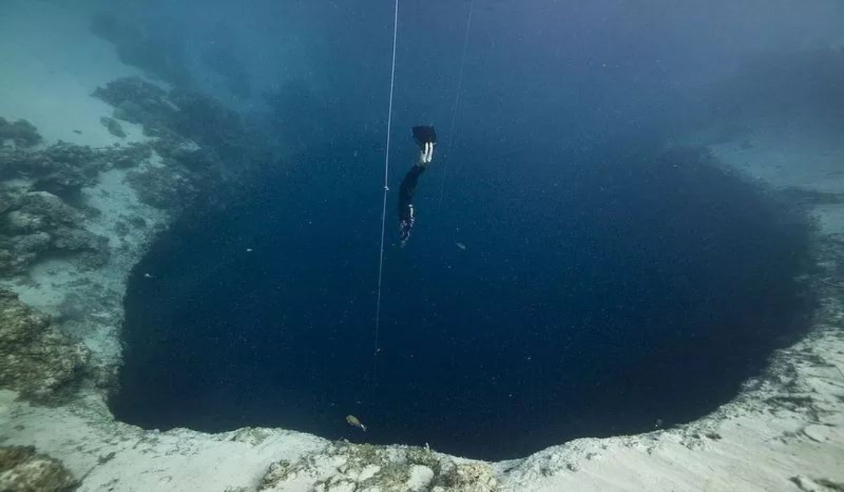 Los expertos buscan evitar daños ambientales y riesgos para los buceadores Los expertos buscan evitar daños ambientales y riesgos para los buceadores