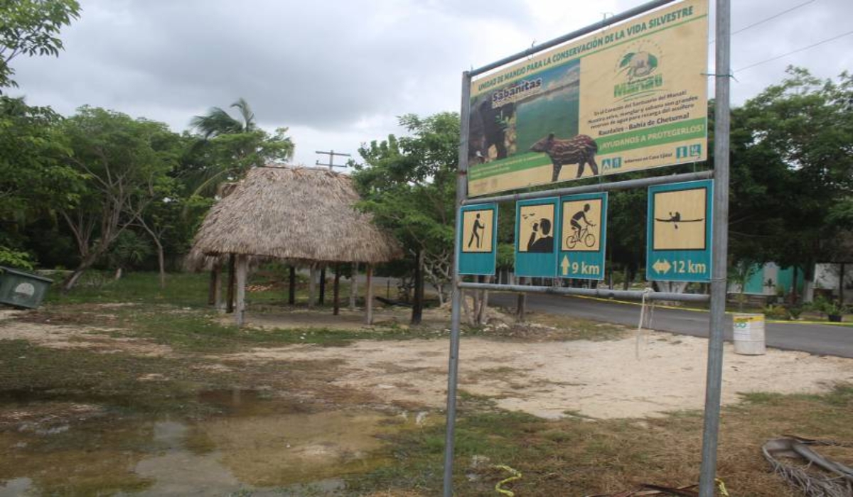 Foto: Manuel Collí