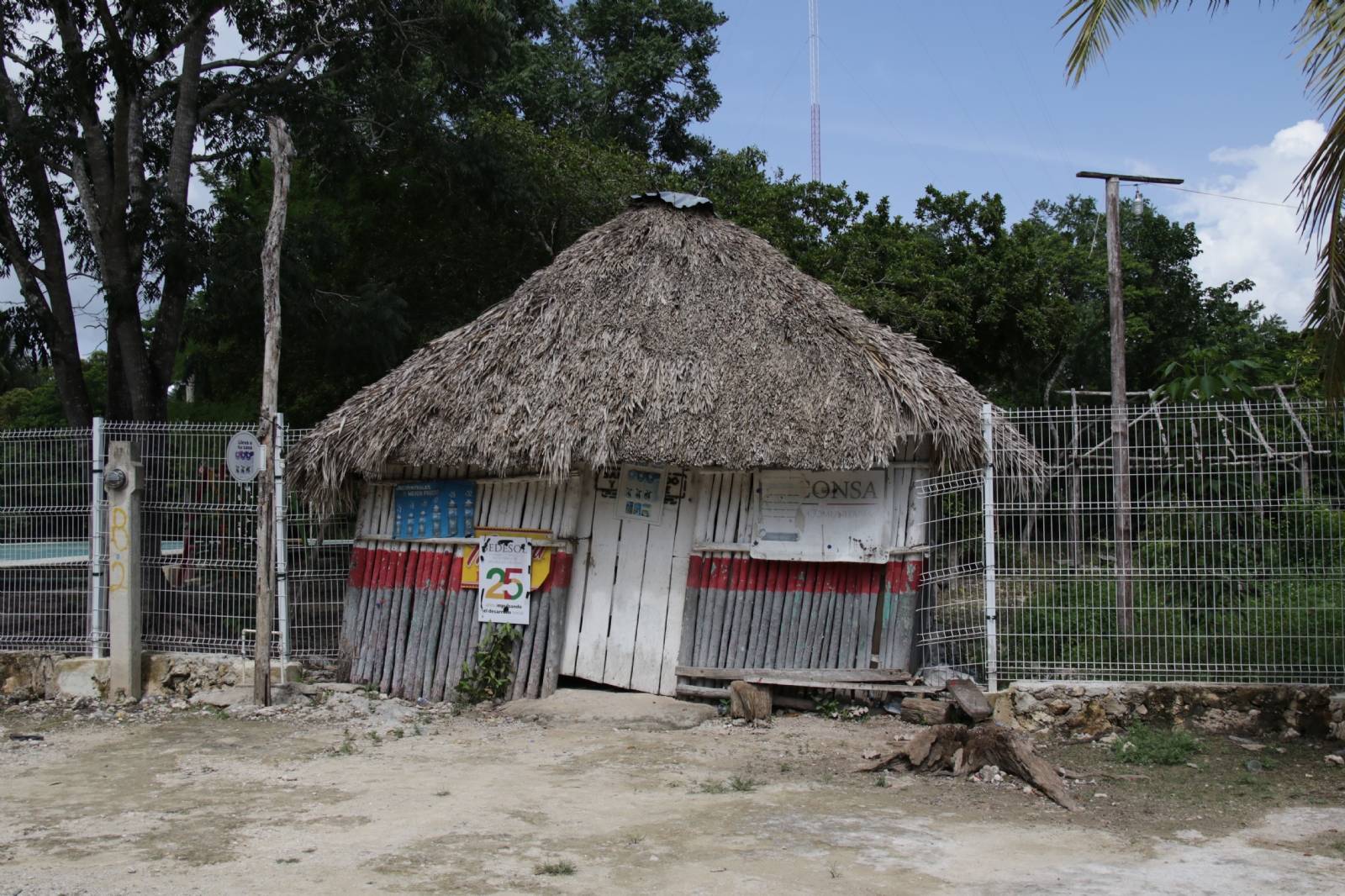 Foto: Jorge Delgado