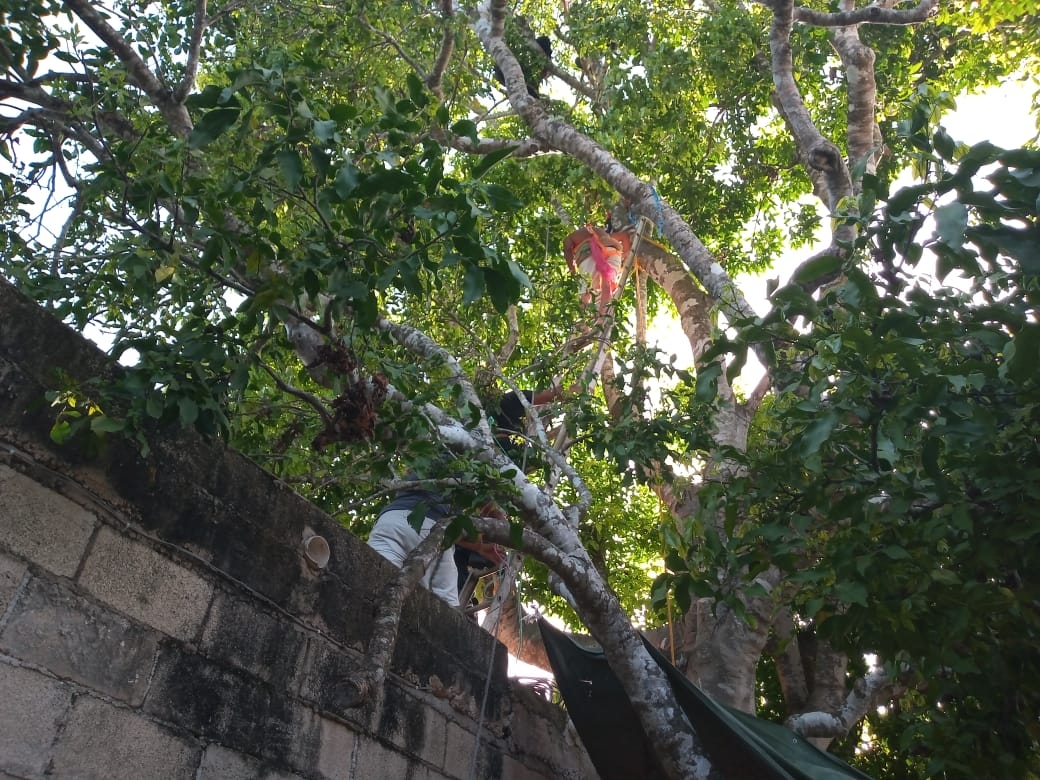 Foto: Francisco Martín