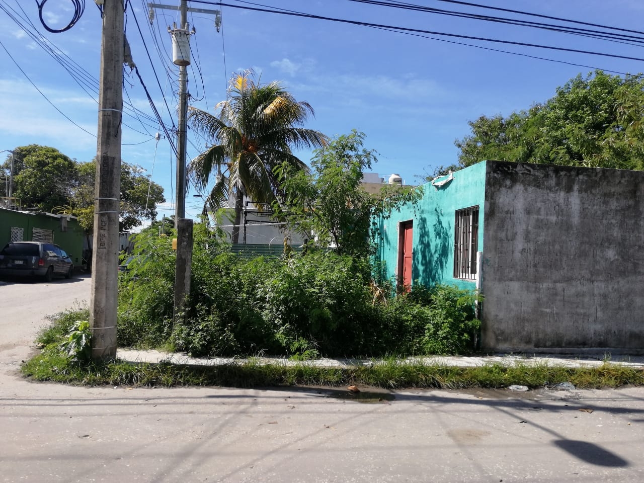 Foto: Irene Barradas