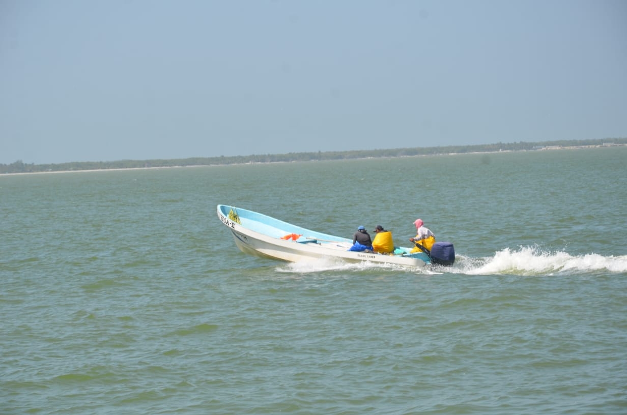 Foto: Fernando Kantún