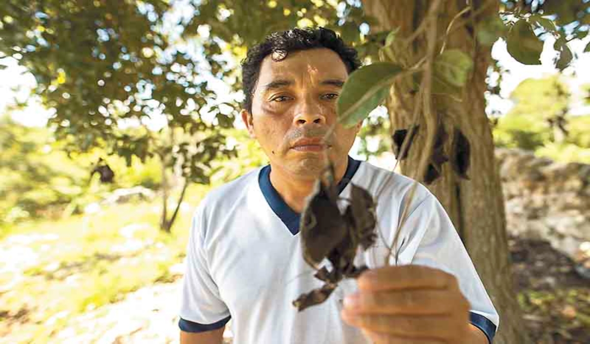 Fotos: Enrique Osorno