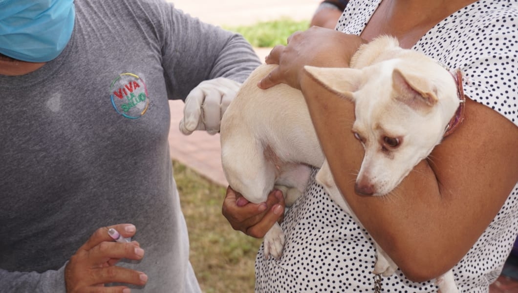 Campaña de vacunación antirrábica en Campeche (Lucio Blanco)