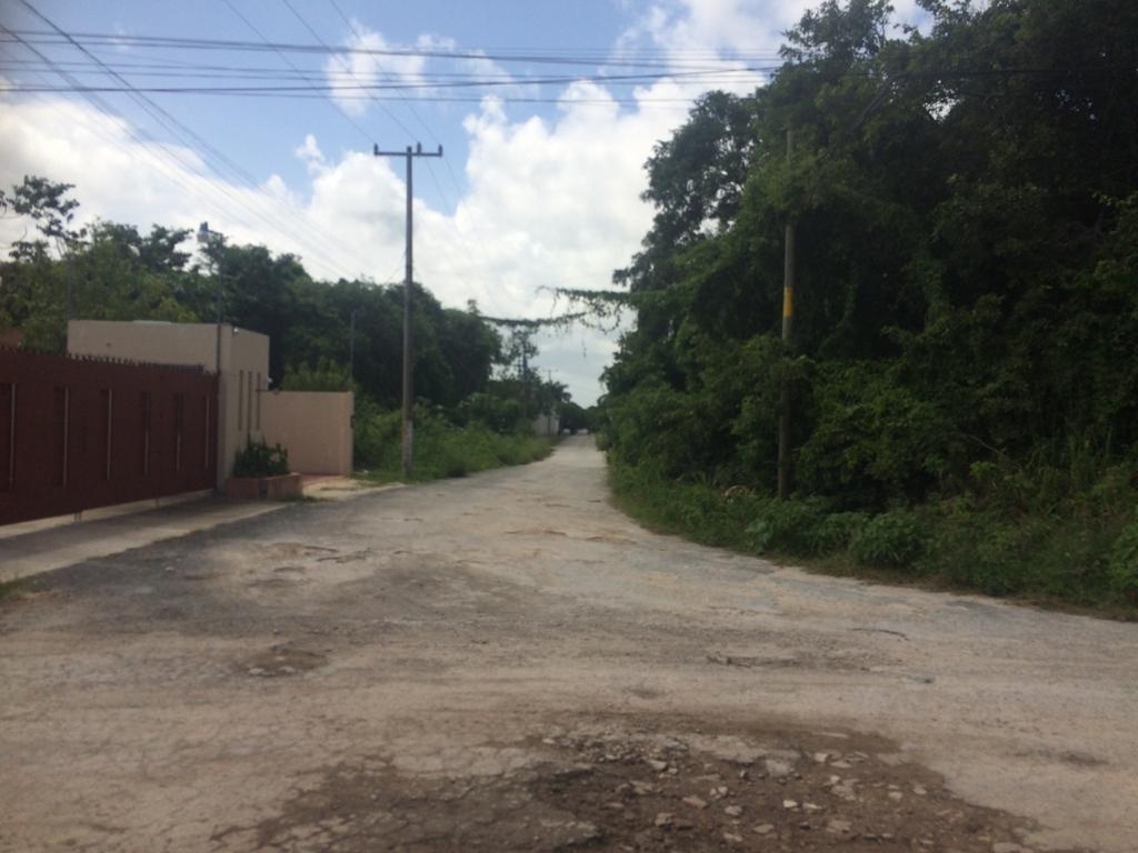 Encuentran cuerpo en estado de descomposición en la Región 307 de Cancún