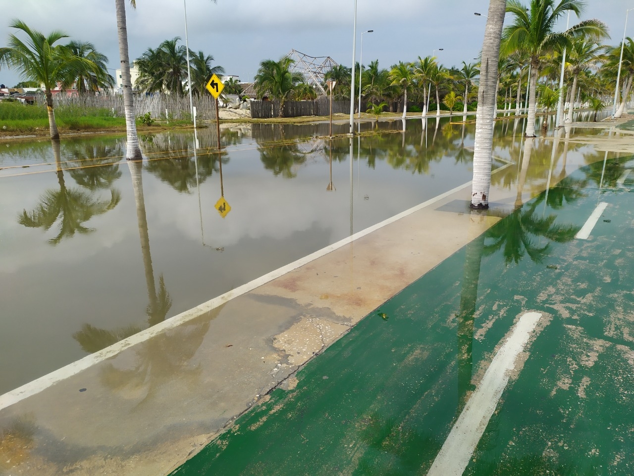 Foto: Juan Carlos García Vaughan