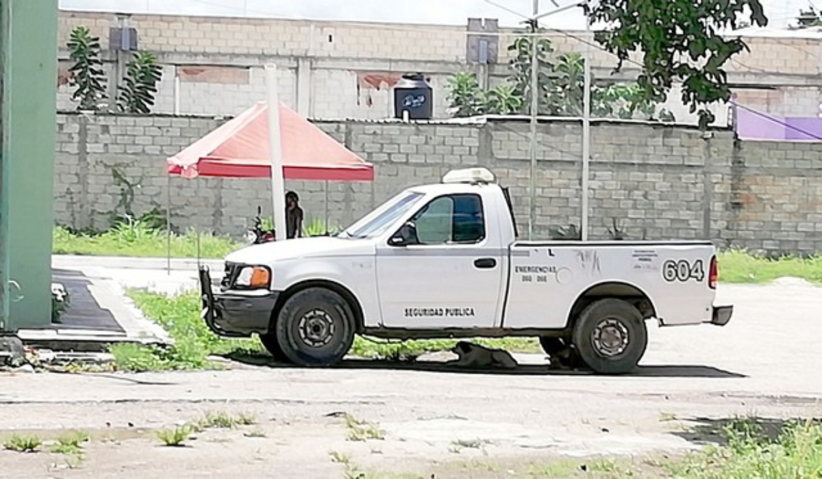 Foto: Néstor Cuevas