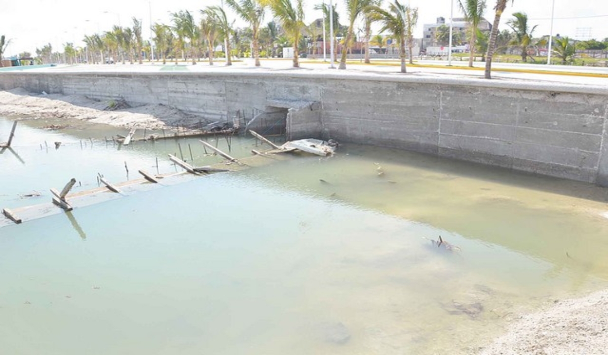 Foto: José Pacheco