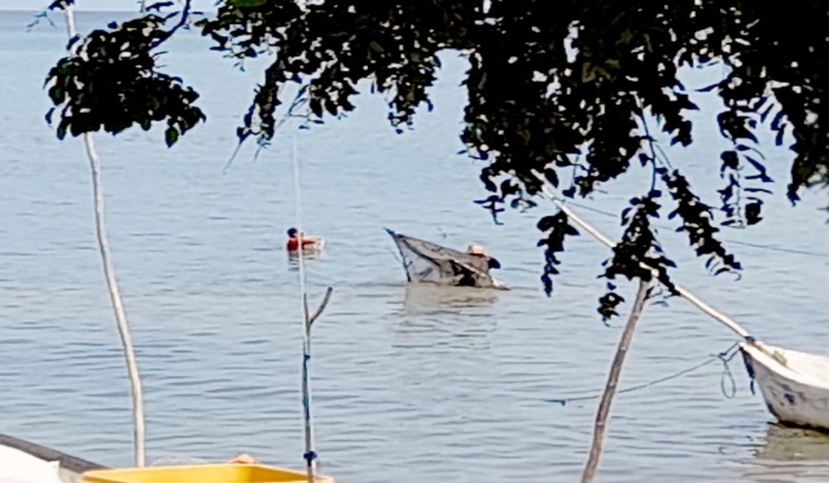 Foto: José Valencia