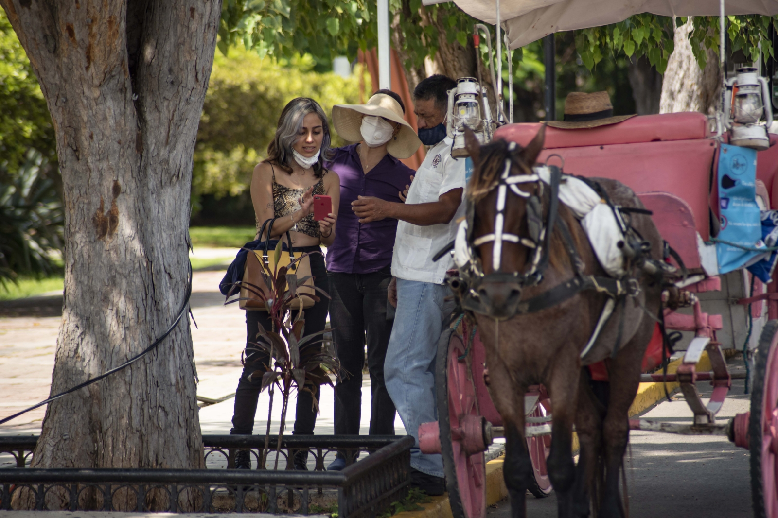 El ritmo de contagiosidad del COVID-19 en Yucatán continúa por encima del 50% Foto: Cuauhtémoc Moreno