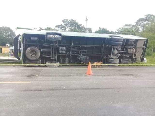 Foto: Joaquín Guevara
