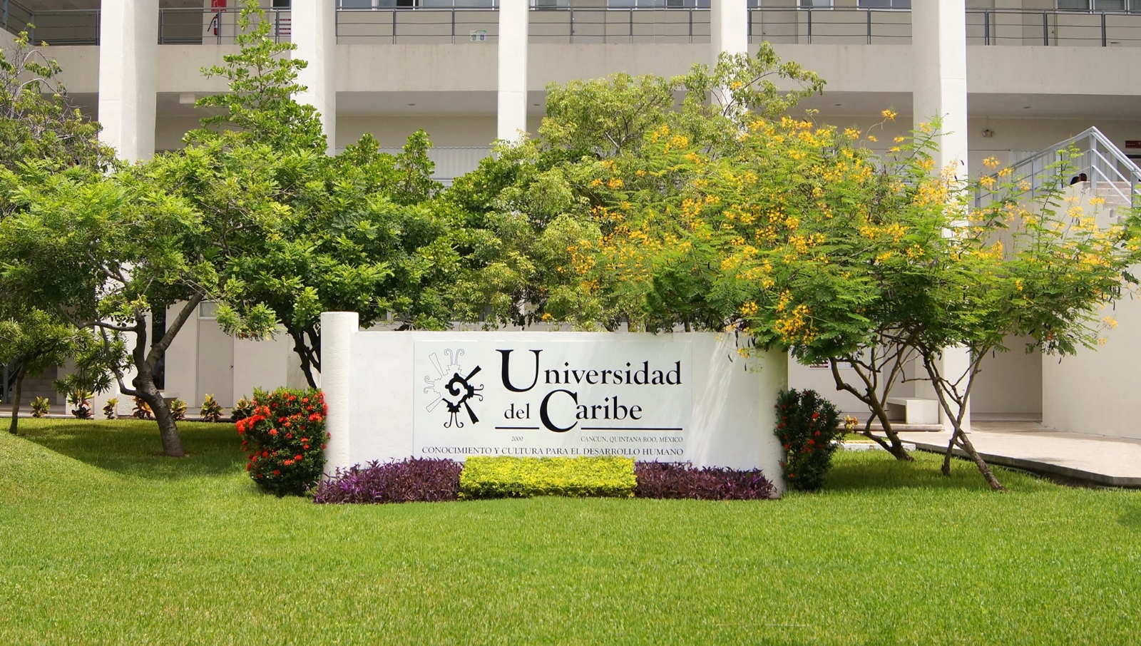 FOTO: Universidad del Caribe FOTO: Universidad del Caribe