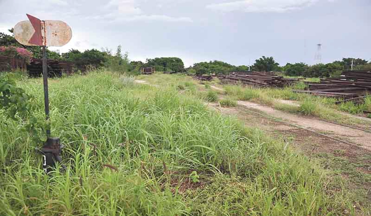 Advierten del riesgo de hundimientos en obras para colocar una estación del Tren Maya por el tipo de suelo que predomina en Yucatán. Foto: Por Esto!