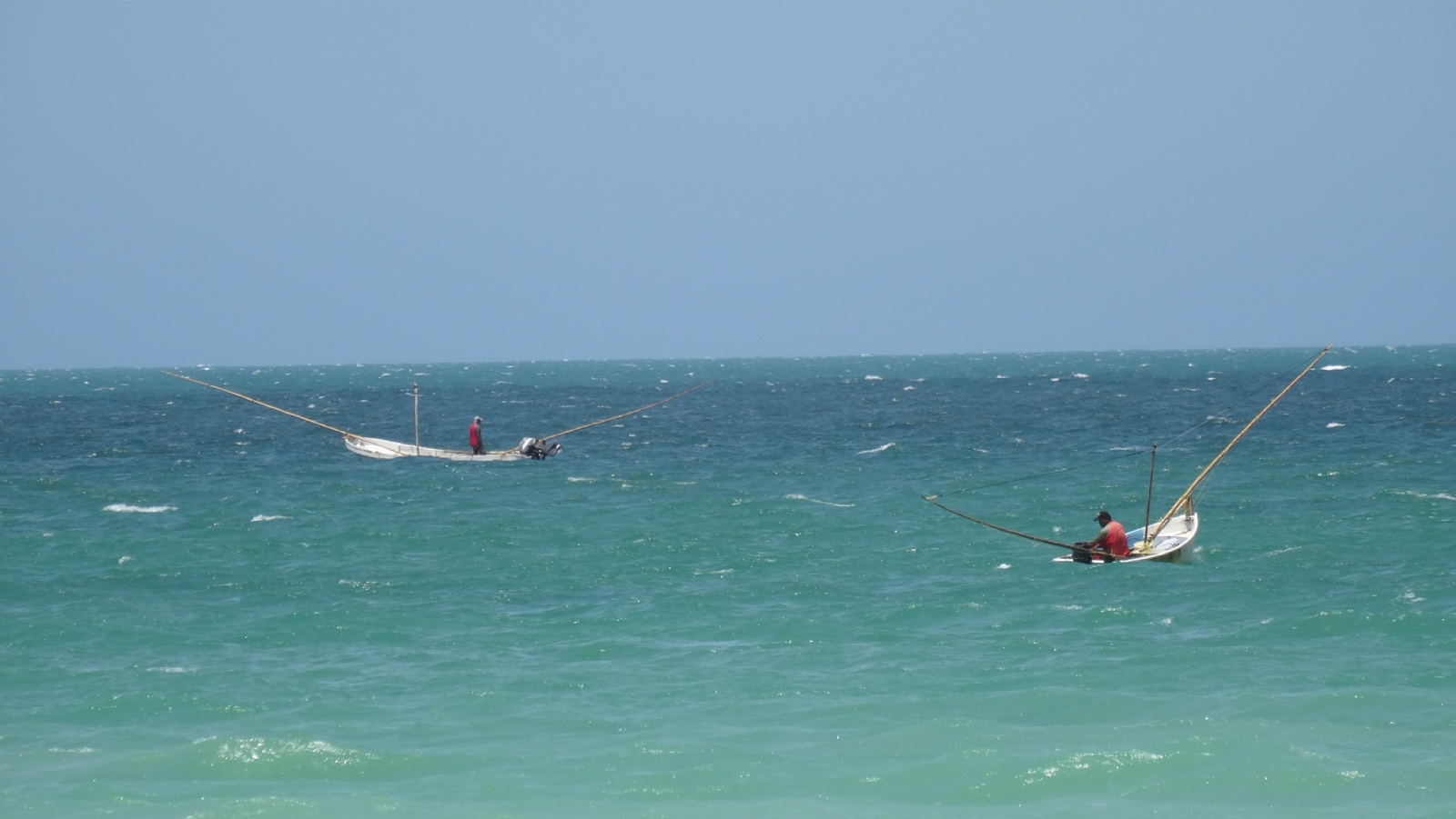 Oceana expuso la sobrepesca en México afecta a 4 de cada 10 especies de peces Oceana expuso la sobrepesca en México afecta a 4 de cada 10 especies de peces