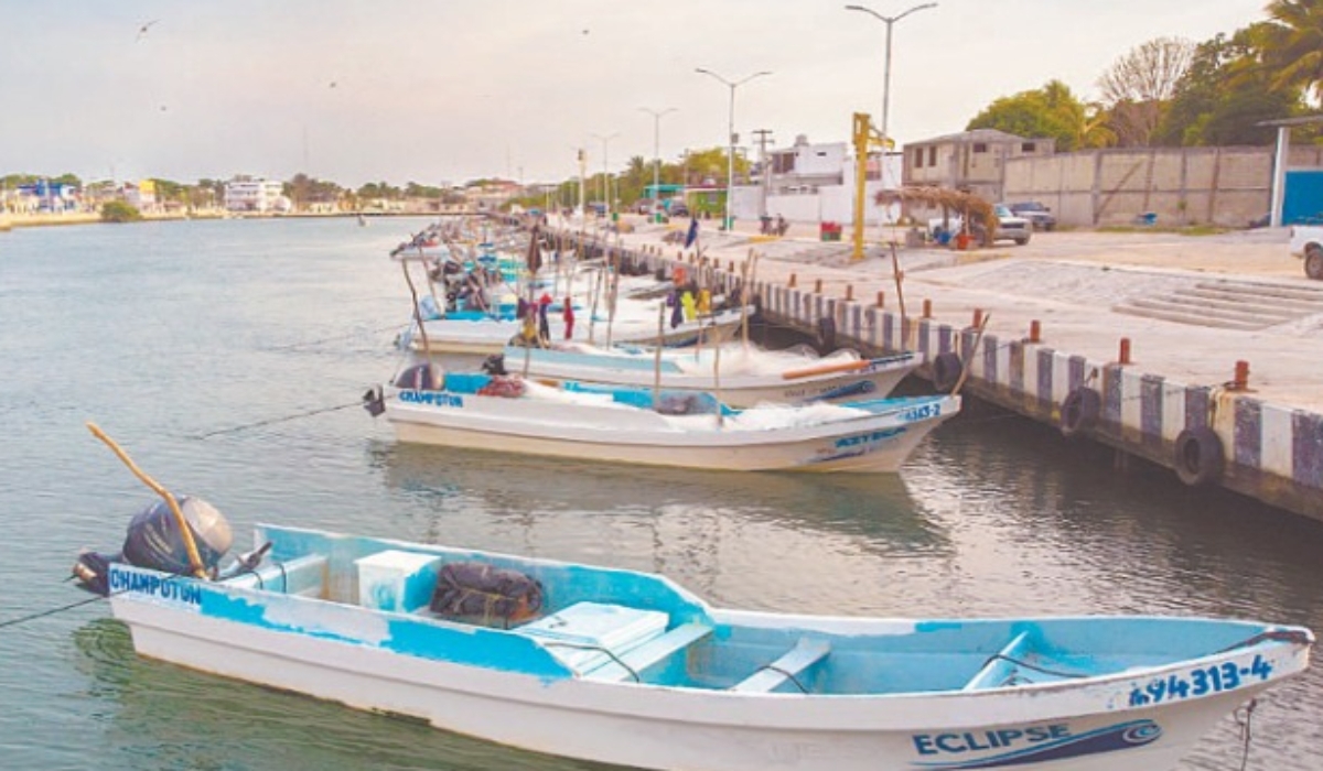 Foto: Alan Gómez