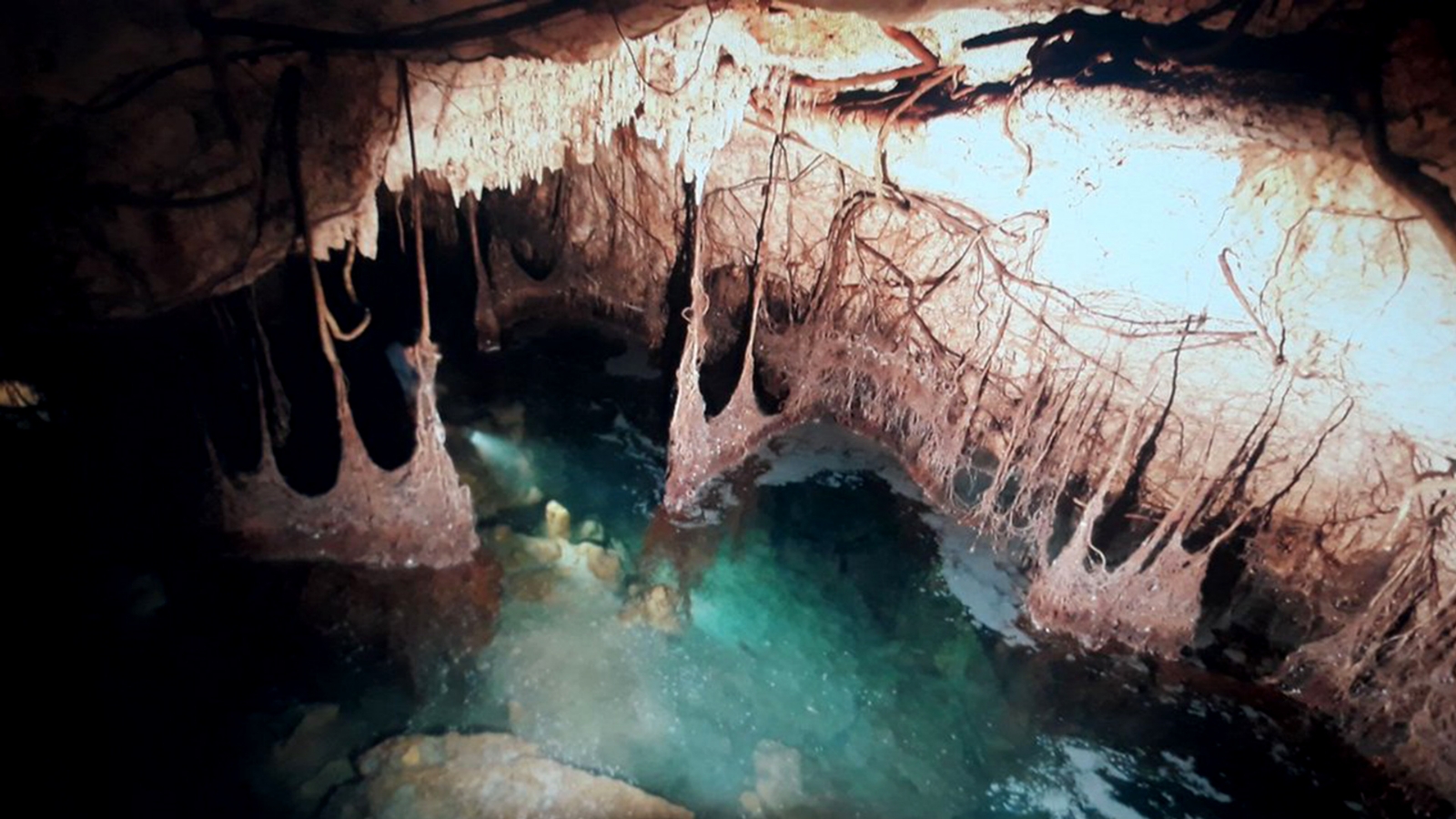 Además de los cenotes, las zonas arqueológicas y playas se encuentran cerradas al público Foto: Cuartoscuro
