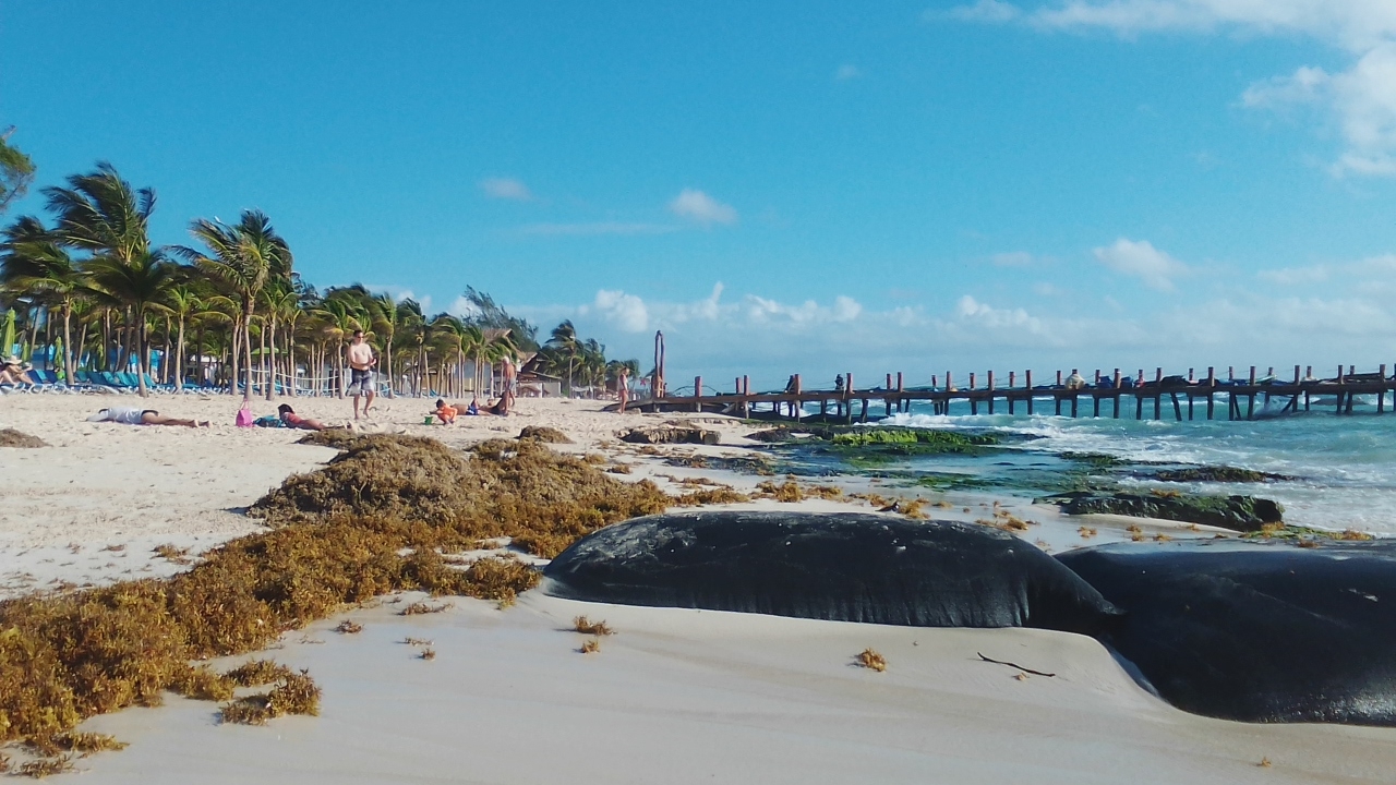 Hotel en Playa del Carmen colocó más geotextiles sin permiso