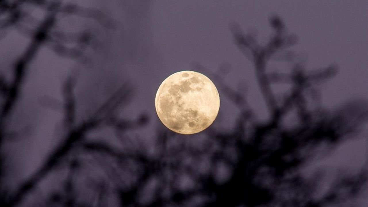 En agosto, podremos ser testigos de una serie de fenómenos astronómicos, con la Luna Azul como protagonista y la impresionante lluvia de estrellas de las Perseidas. En agosto, podremos ser testigos de una serie de fenómenos astronómicos, con la Luna Azul como protagonista y la impresionante lluvia de estrellas de las Perseidas.