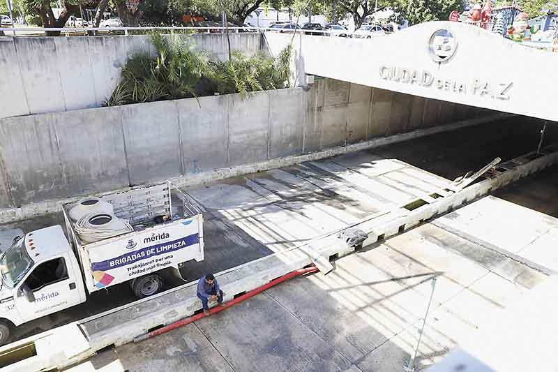 Foto: Óscar Suaste