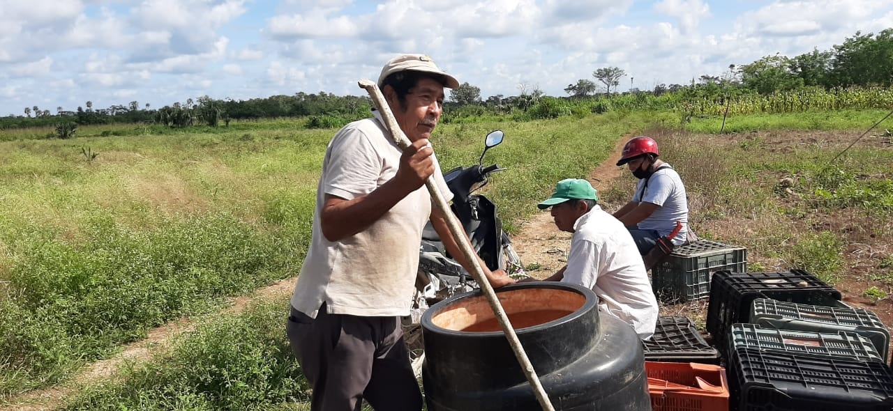 Ahora buscan levantarse con esta siembra de 7 hectáreas
